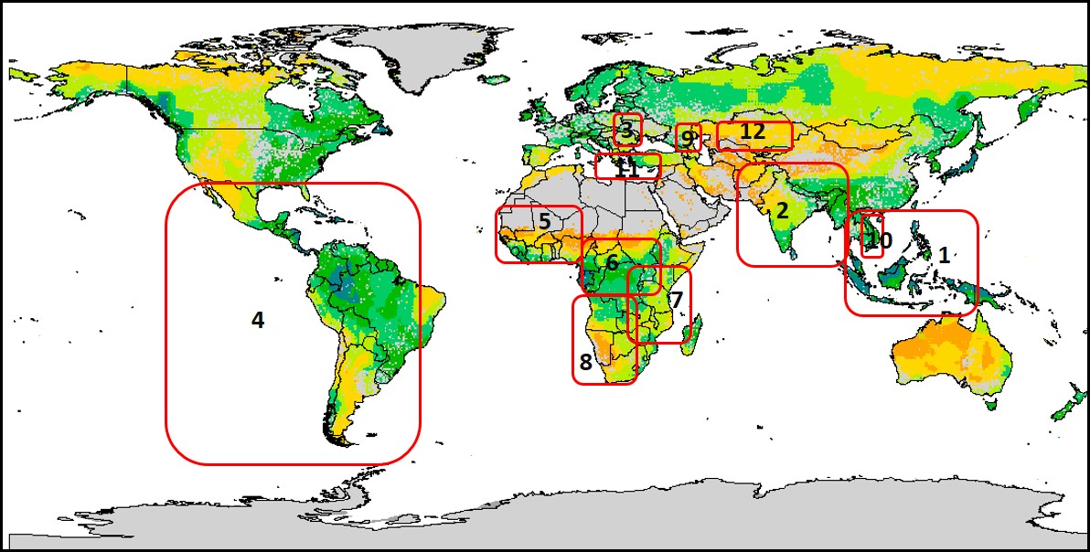 GOFC-GOLD regional networks locations